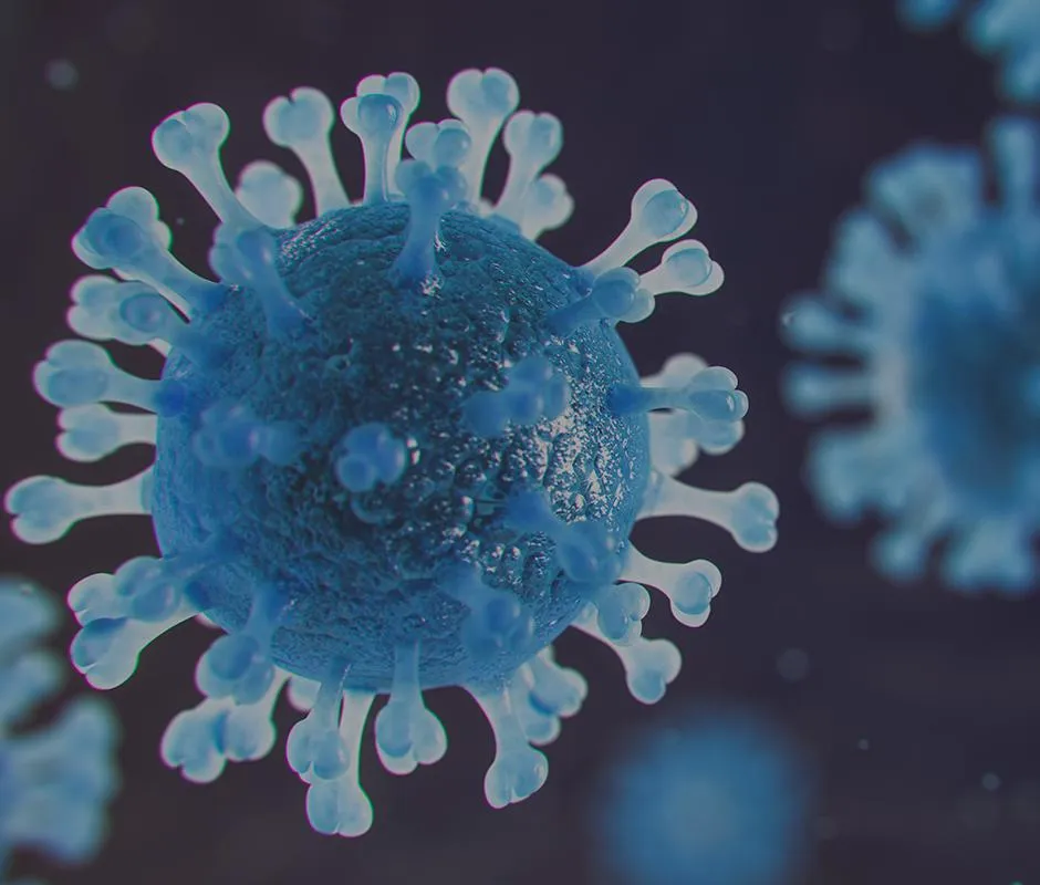 Infolex Newsletter - IP