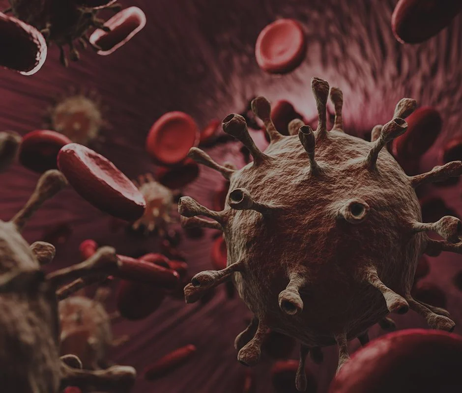 FREQUENTLY ASKED QUESTIONS - FORCE MAJEURE