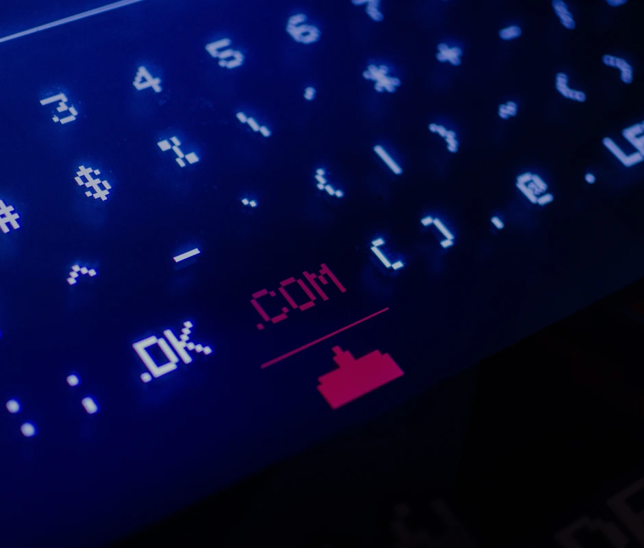 DETAILS OF INFRINGERS CANNOT BE MASKED UNDER THE GARB OF PRIVACY FEATURES, RULES HIGH COURT OF DELHI