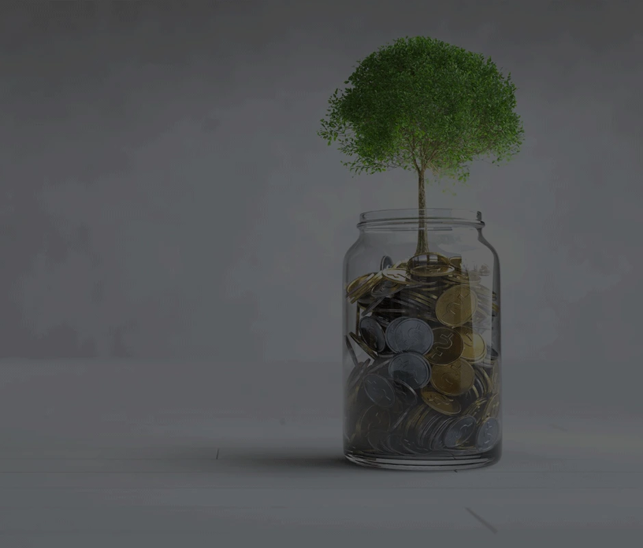 FAMILY INVESTMENT FUNDS | REGULATORY REGIME IN INDIA