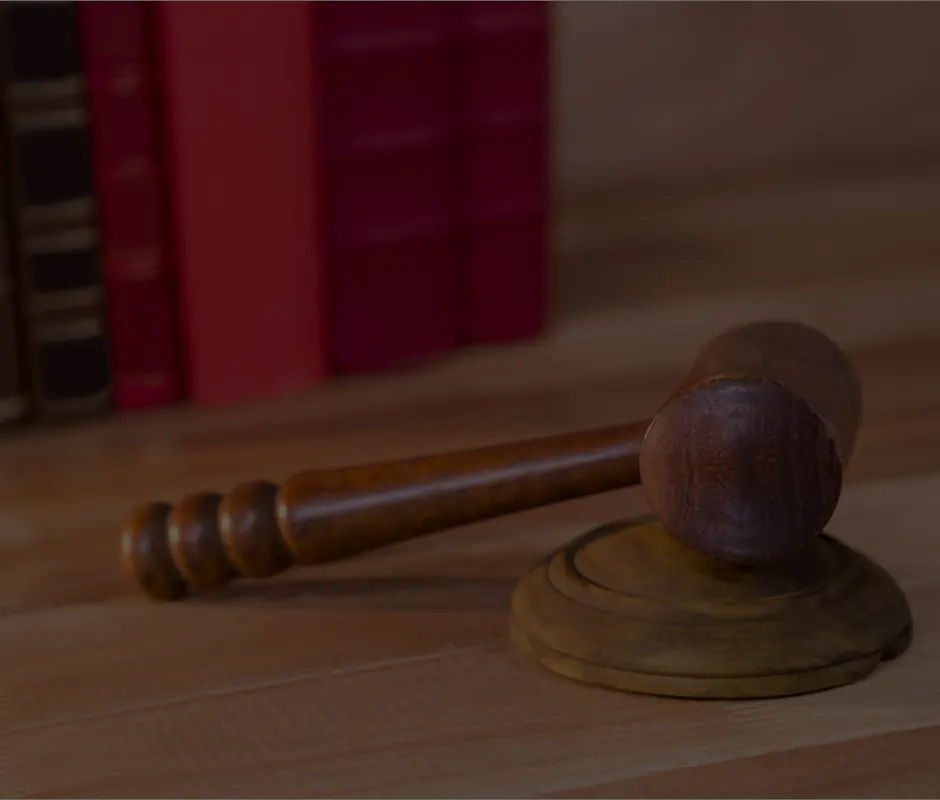 RELOCATING SUPPLY CHAINS TO INDIA: NAVIGATING THE INDIAN LANDSCAPE