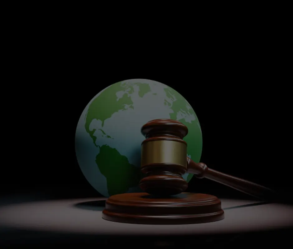 IN-DEPTH Global Damages EDITION 6