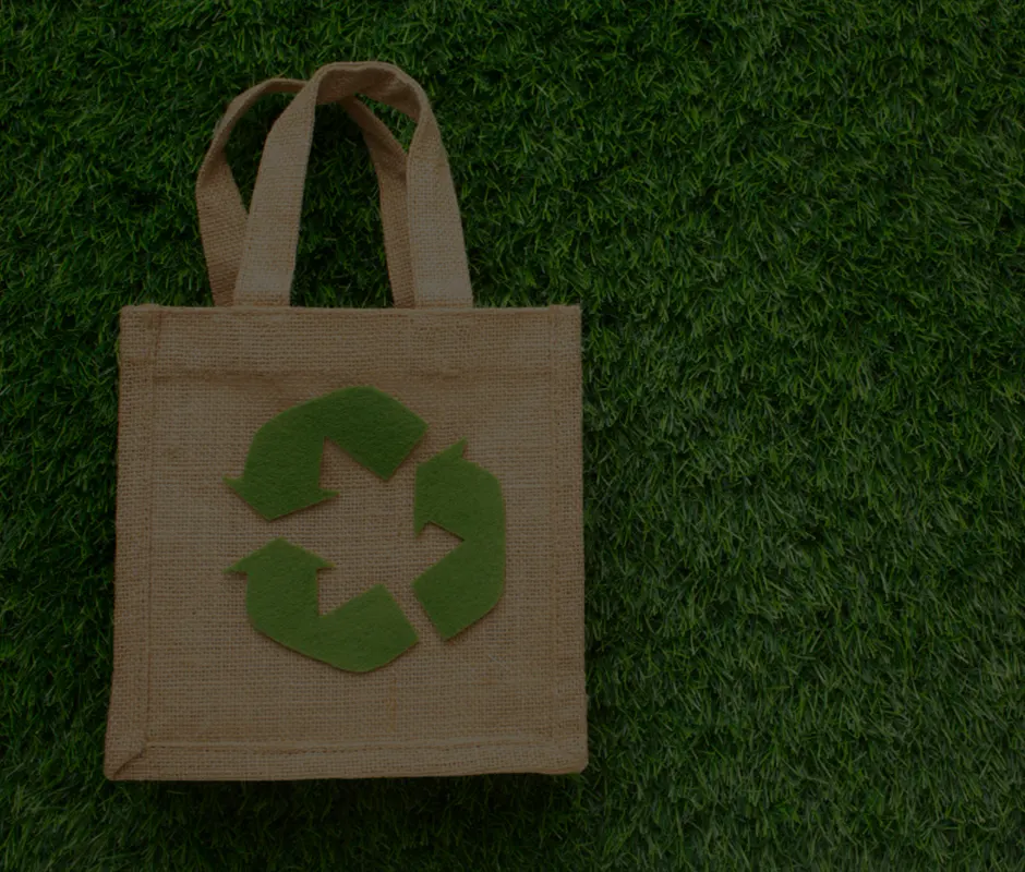 Innovative Eco- Friendly Alternatives Required To Combat Plastic Pollution