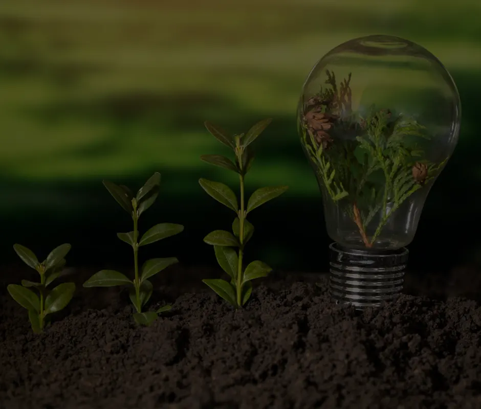 FORTIFYING R&D: FIRST STEPS FOR GREEN HYDROGEN