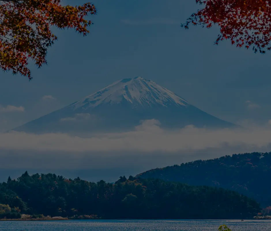 Japan Newsletters (January 2024 - March 2024)